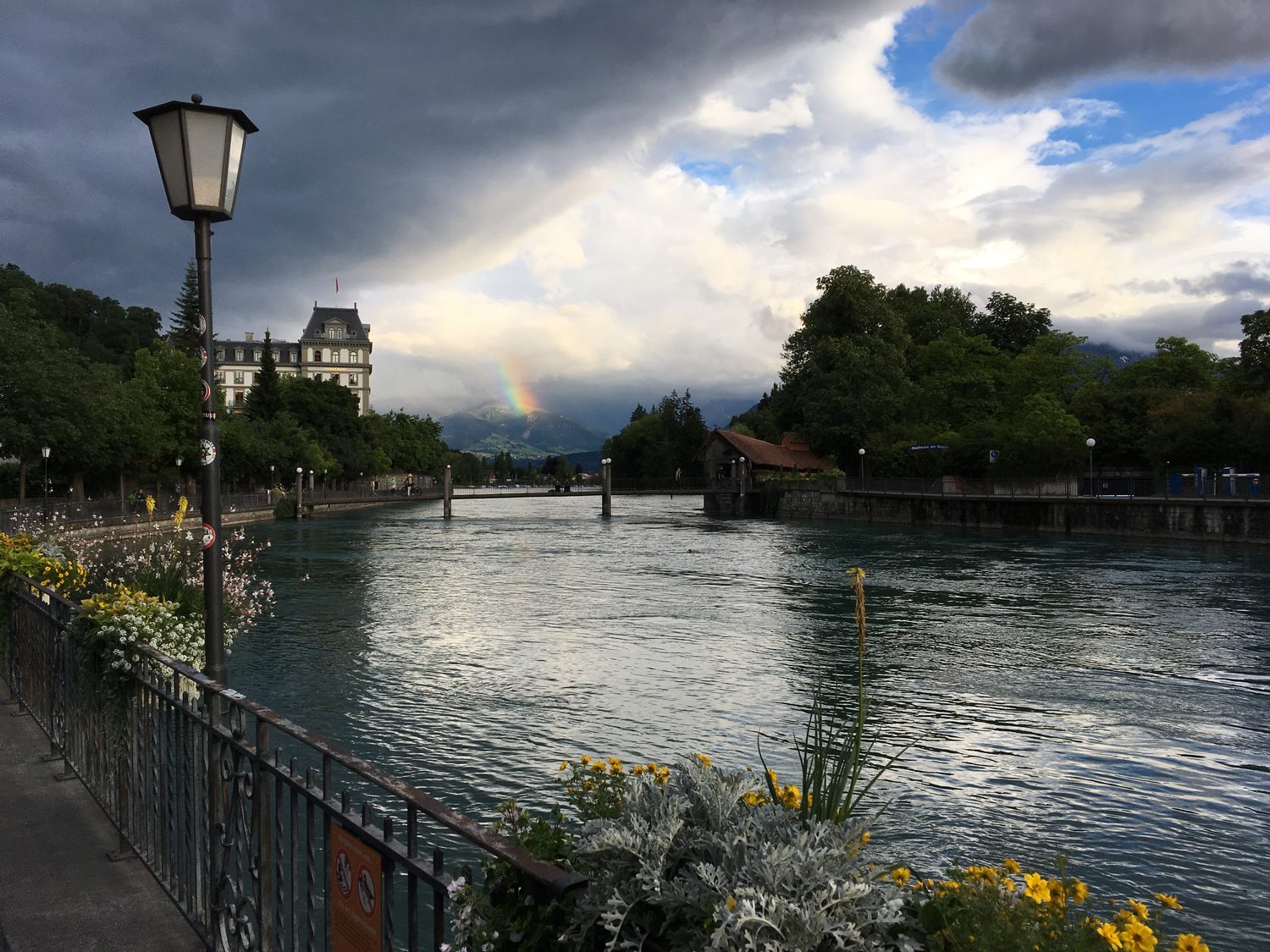 A rainbow over a river lined with flowers